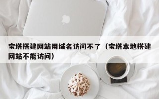 衡水宝塔搭建网站用域名访问不了（宝塔本地搭建网站不能访问）